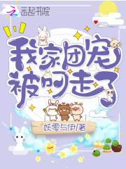 我团宠回来了免费阅读
