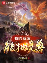 我的灵宠有系统