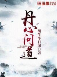 丹心文化