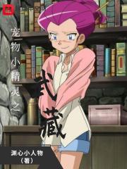 宠物小精灵之武藏h版