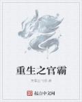 免费阅读重生之官道