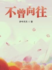 不曾幻想的意思