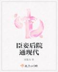 臣妾是皇后吗