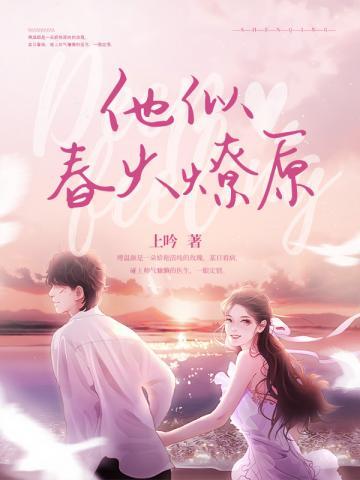 他似火全文r