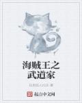 海贼王之剑道系统