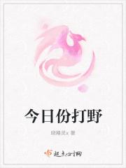 圣光传说bug