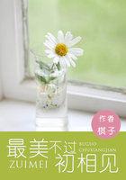 最美不过初相见免费阅读全文