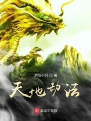 天地劫最强阵法