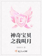 神奇宝贝之我是馆主作者 夜月轻语
