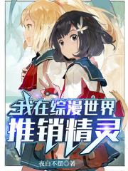 我在综漫世界推销精灵 夜白不摆