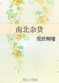 南北杂货铺TXT