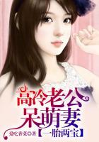 一胎二宝总裁老公很宠溺