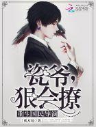 重生国名男神瓷爷