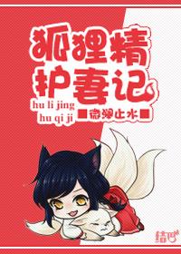 狐狸精饲养指南