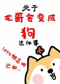 韩国龙哥经典歌曲