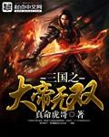 三国之无敌帝皇