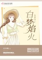 白梦焰火傅岁