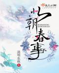 北朝指的是什么
