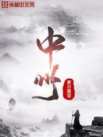中州集团简介