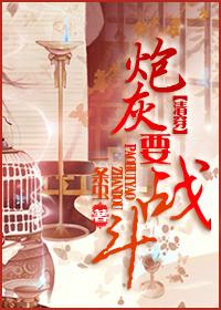 清穿纯炮灰