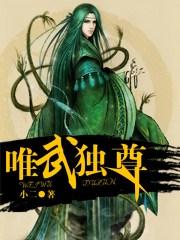 唯武独尊免费