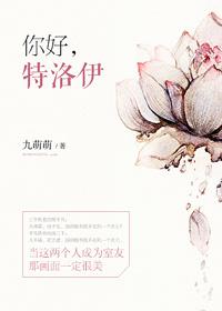 特洛伊后续