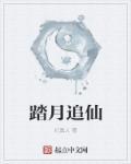 踏月寻星是什么意思