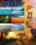 荒野求生之旅综英美