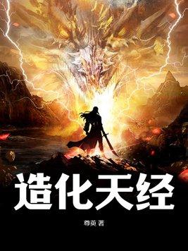 造化天书