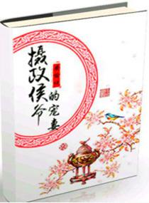 摄政王爷宠不停全文免费阅读