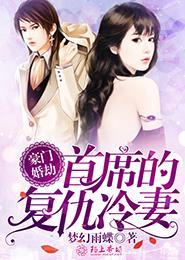 豪门婚战首席的千亿冷妻