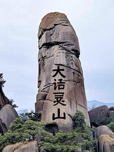 大话灵藤的的价格