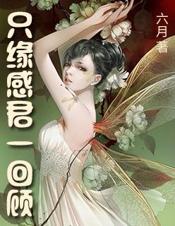 只缘感君一回顾打一动物