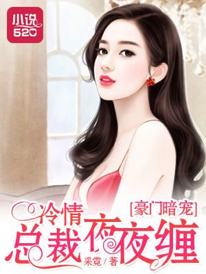 豪门总裁的暗夜情人 txt