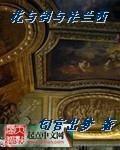 花与剑与法兰西h部分