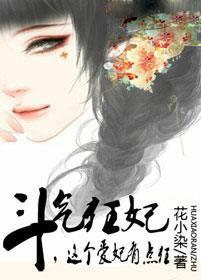 斗气王妃sp
