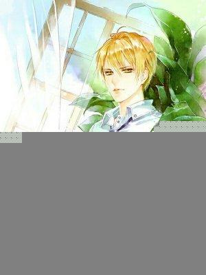 校草大人惹不得