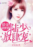 陆少密宠娇妻有点不听话