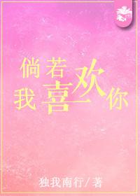 倘若我喜欢你的英文