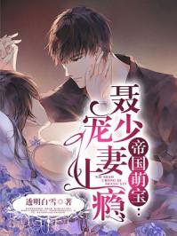 帝国萌宝聂少宠妻上瘾