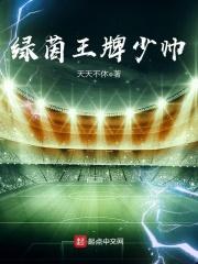 绿茵王牌少帅TXT