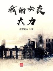 我的女友诸葛大力txt
