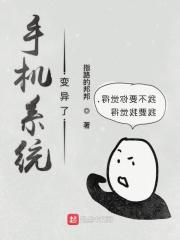 手机系统变异了怎么修复
