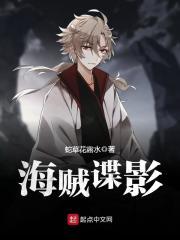 海贼谍影笔趣阁