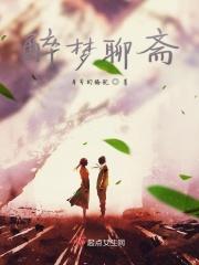 电视剧聊斋86版梦狼是第几集
