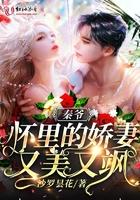 秦爷怀里娇妻是大佬免费阅读