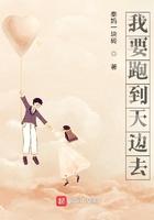 我要跑到天边去歌词