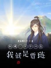 红楼从今以后我就是贾琏