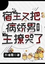 快穿宿主又把反派玩崩了 吗