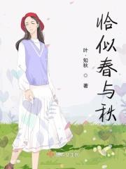 恰似春风多情免费阅读掌读